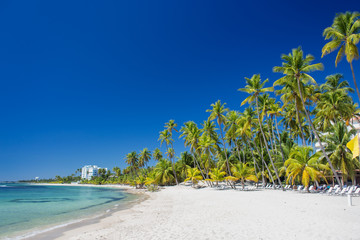 amazing tropical beach Playita, Dominican Republic. Blue ocean, white sand, palm trees