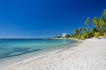 Tropical sand Beach on the Caribbean sea. Clear blue sea and high palm trees	