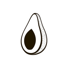Avocado black lines illustration on white background