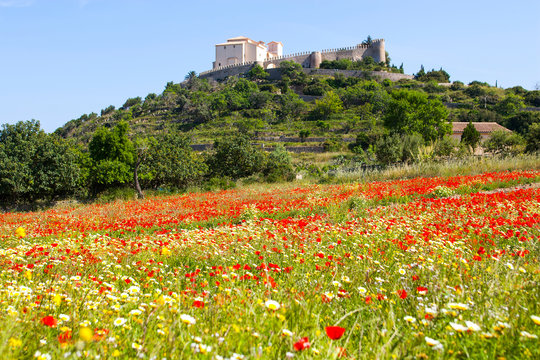 Santuari de Sant Salvador above poppy field, Majorca, Spain