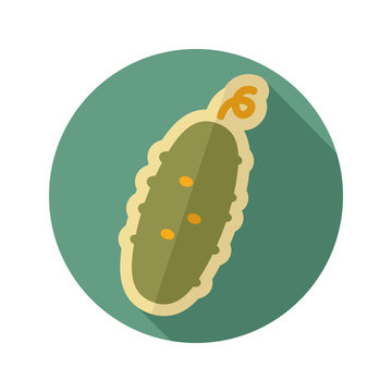Cucumber flat icon. Vegetable vector