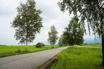 Strasse im Kochelseemoos in den Feuchtwiesen in der Nähe des Kochelsees
