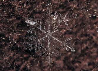 Snowflake on the dark red background