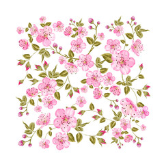 Sacura flowers in rectangle pattern isolated over white background. Vector illustration.