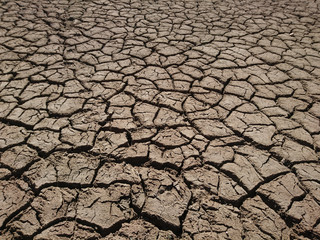kuraklık, kuruma,kıtlık,çatlamak