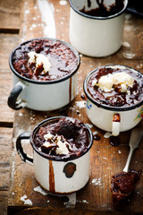 Hot Fudge Pudding Cake with ice cream
