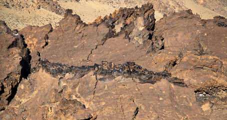 Mountain canary island teide tenerife