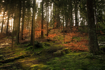 Obraz premium Pfad Krottorf