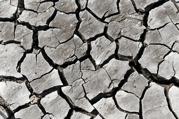 No life in arid soil.