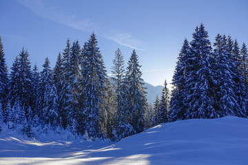 Fototapeta na wymiar Snow landscape at Elmau, Upper Bavaria, Bavaria, Germany, Europe