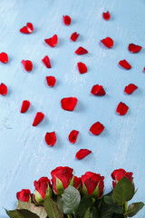 Petals of red roses on blue painted rustic background. Fresh natural bouquet of flowers. Dirty grunge wooden board.