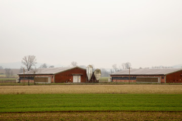 Fototapeta na wymiar Agricultural establishments in the fields