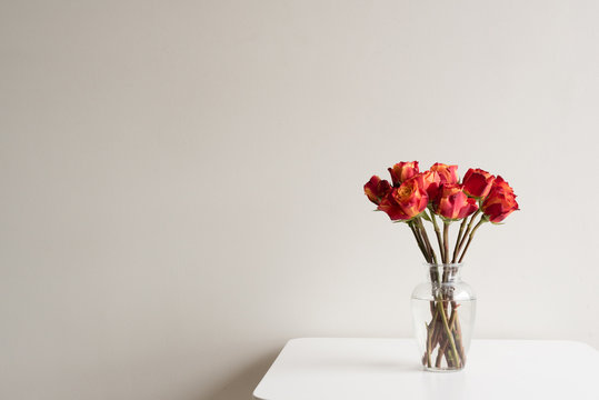 Red and orange roses in a glass vase on a white table against neutral wall