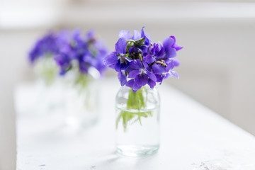 Bouquets of purple spring violet in glass vase near the window