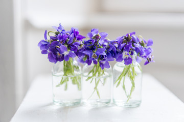 Bouquets of purple spring violet in glass vase near the window