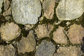 Green moss growing on stone wall, original old rocks texture.