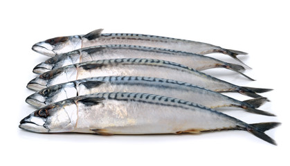 mackerels isolated on white