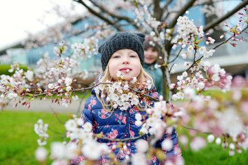 Two cute little sisters having fun in blooming cherry garden
