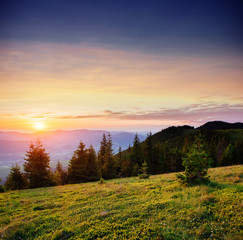 Beautiful summer mountain landscape. Dramatic scene. Carpathian,