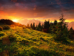 Obraz premium Beautiful summer mountain landscape. Dramatic scene. Carpathian,