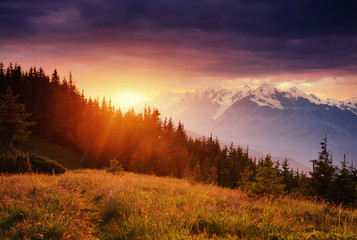 Fototapeta na wymiar Beautiful summer mountain landscape. Dramatic scene. Carpathian,