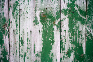 Green painted old and worn hardwood planks surface as background image