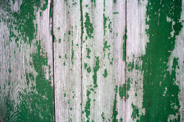Green painted old and worn hardwood planks surface as background image