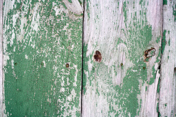 Green painted old and worn hardwood planks surface as background image