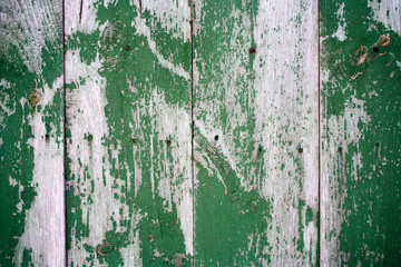 Green painted old and worn hardwood planks surface as background image