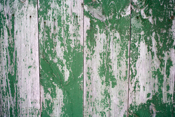 Green painted old and worn hardwood planks surface as background image