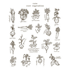 Set of root vegetables