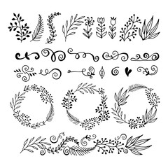 collection floral graphic design elements