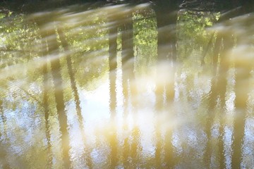 The reflection.