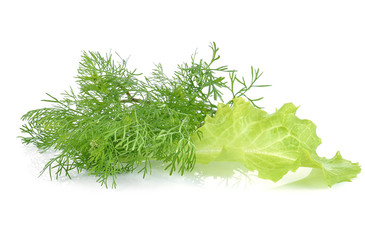 Bunch of fresh coriander leaves over white background