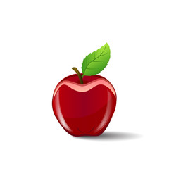 Red apple on white background, vector illustration