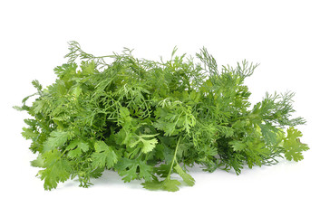 Bunch of fresh coriander leaves over white background