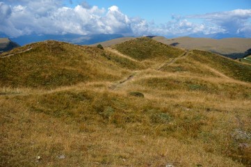 Almwiese in den Bergensüdtirols