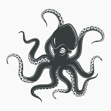 Octopus tattoo or squid marine mascot