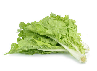 fresh green lettuce leaves isolated on white