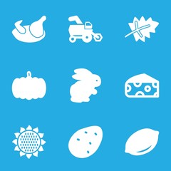 Set of 9 Agriculture filled icons