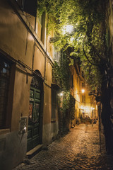 Street in Rome - night view.