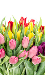 Spring tulip flowers Red pink yellow