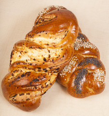 Beautiful homemade bagels