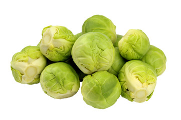 Fototapeta premium Sprouts