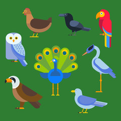 Fototapeta premium Birds vector set illustration isolated