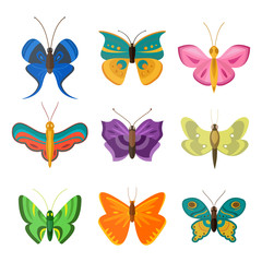 Colorful butterflies vector.