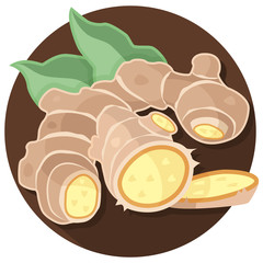 ginger vector artwork isolated on white background