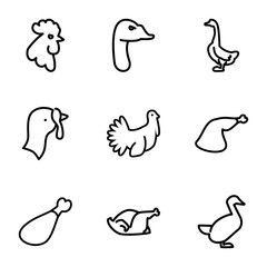 Set of 9 poultry outline icons