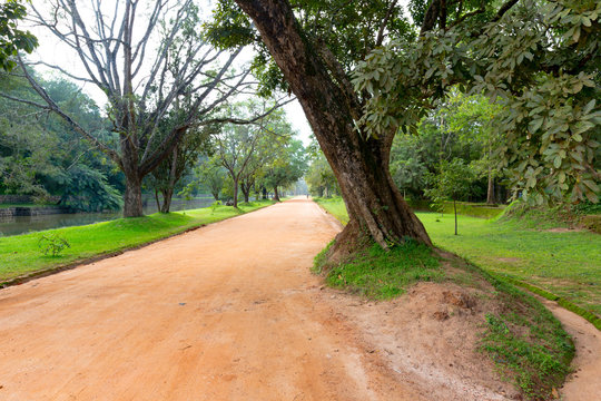 rut road in park