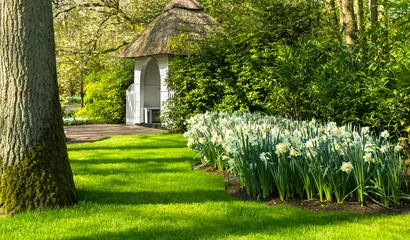 Foto op Plexiglas Daffodils in Dutch public Spring flower Garden Keukenhof Lisse, Zuid Holland, NLD © Laurens